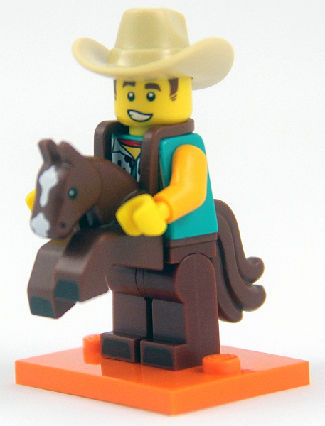Cowboy Costume Guy, Series 18