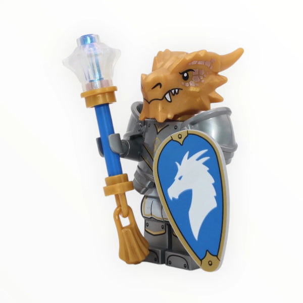 Dragonborn Paladin, Dungeons & Dragons