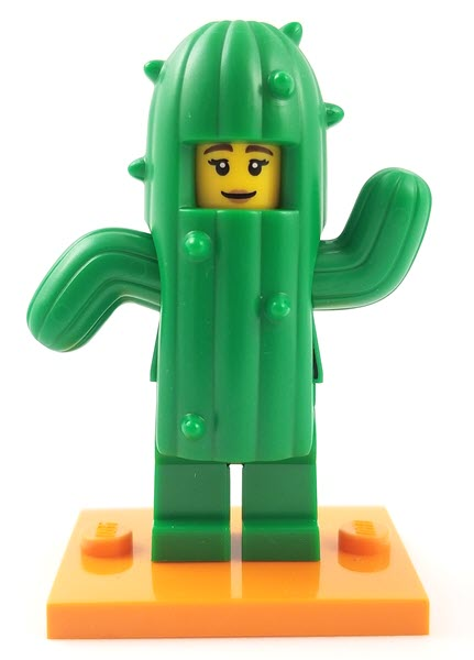 Cactus Girl, Series 18